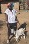 Kaluoki village goat program
